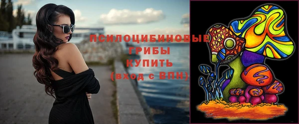 прущие грибы Нефтекумск