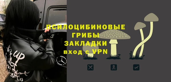 прущие грибы Нефтекумск