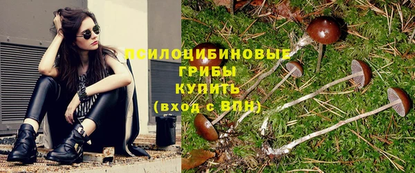СК Билибино