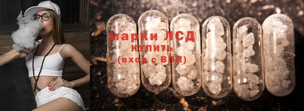 спайс Бикин