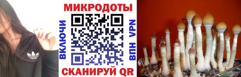 гидра вход Кукмор Галлюциногенные грибы Psilocybe